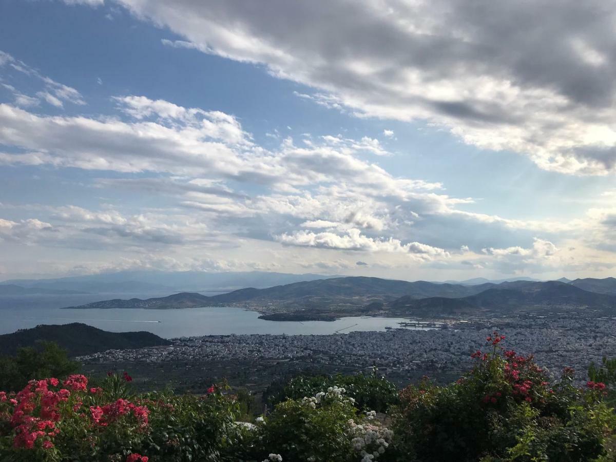 Maria Lux Apartments Βόλος Εξωτερικό φωτογραφία
